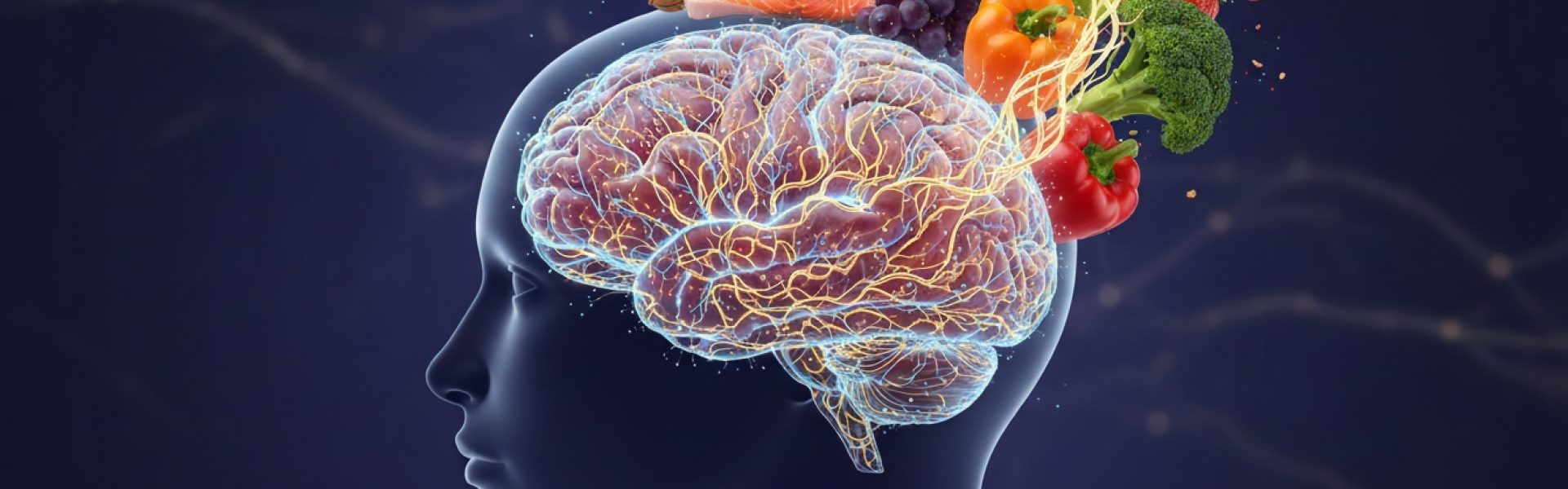 Neuroplasticidad y alimentación del cerebro